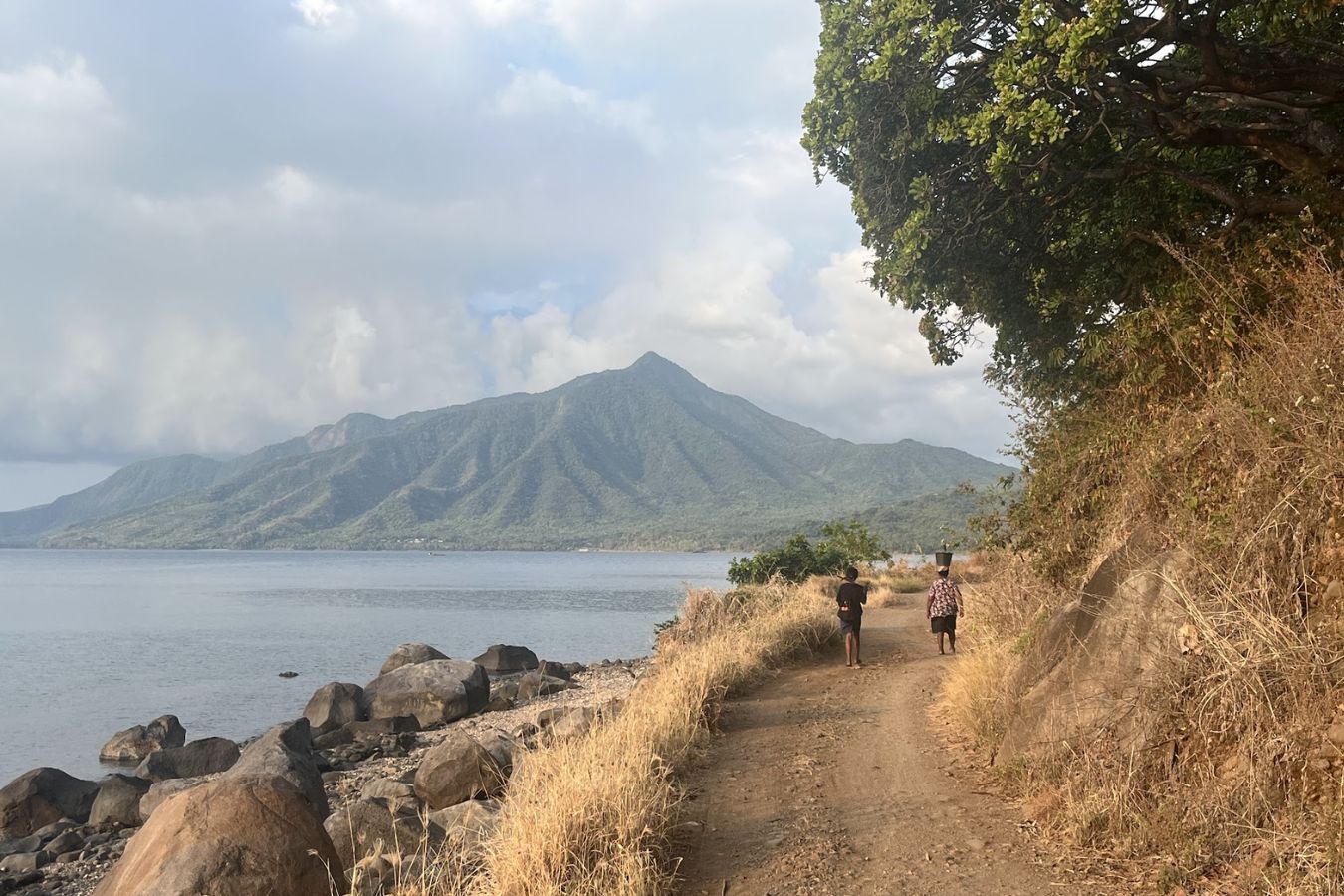 Berglandschaft in Ost-Flores mit tropischer Vegetation