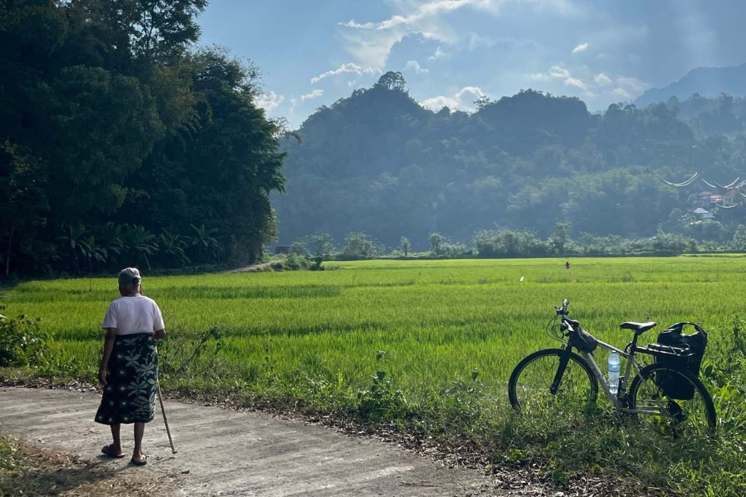 Reisfelder in Toraja 